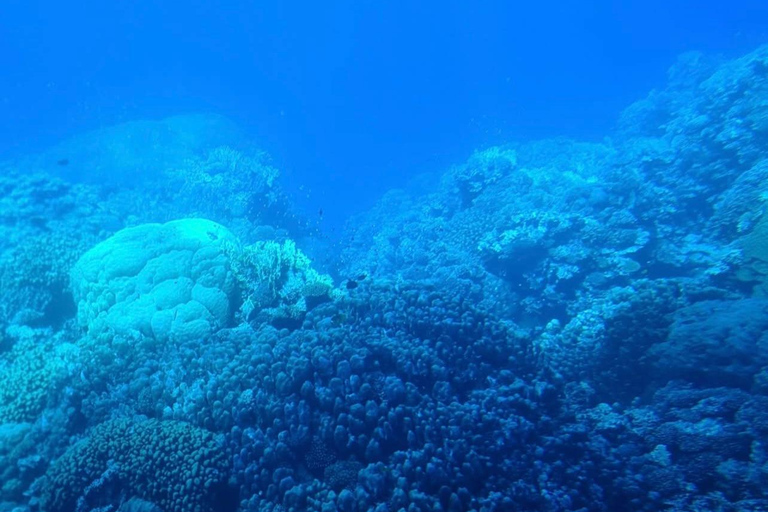 From Makadi: Nefertari Sunset or Morning Cruise With pickup