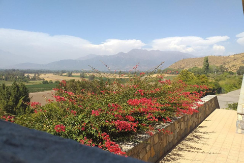 Viña Haras de Pirque Wine Experience