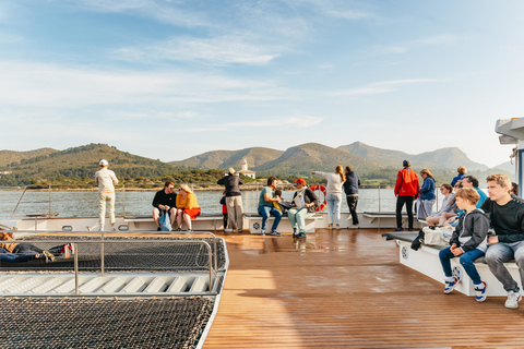 Port d'Alcudia: Sunrise at Sea & Dolphin Watching Boat Tour