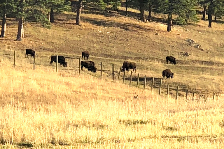 Denver: Red Rocks, Buffalo Bill's Gravesite, and Golden Tour