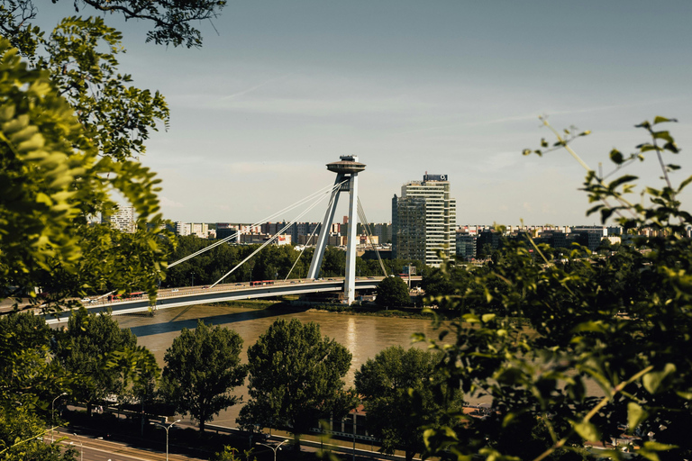 Vienna: Guided Bratislava & Devín Castle Tour via Hainburg Private Tour Ticket