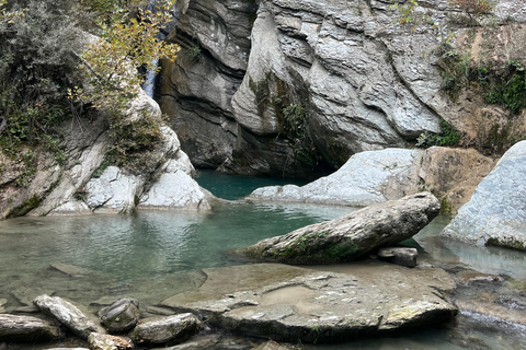 Från Berat: Osumi Canyon, Bogova Waterfall och Pirro Goshi...