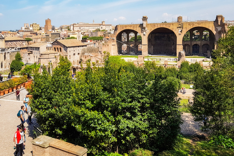 Rome: Colosseum, Roman Forum & Palatine Hill Tour Colosseum, Forum, and Palatine Hill Guided Tour in Italian