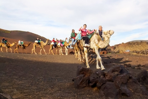 Volcanoes and Caves: Full-Day Tour of Lanzarote Full-Day Tour of Lanzarote (Spanish)