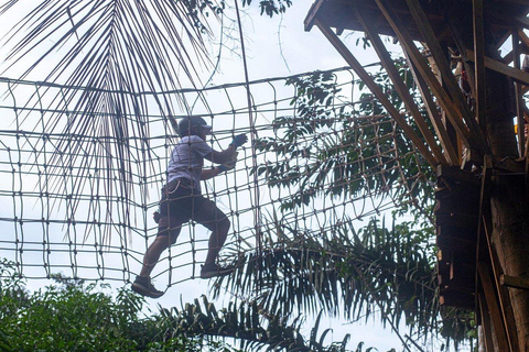 From Accra: Asenema Waterfalls and Zipline Adventure Tour
