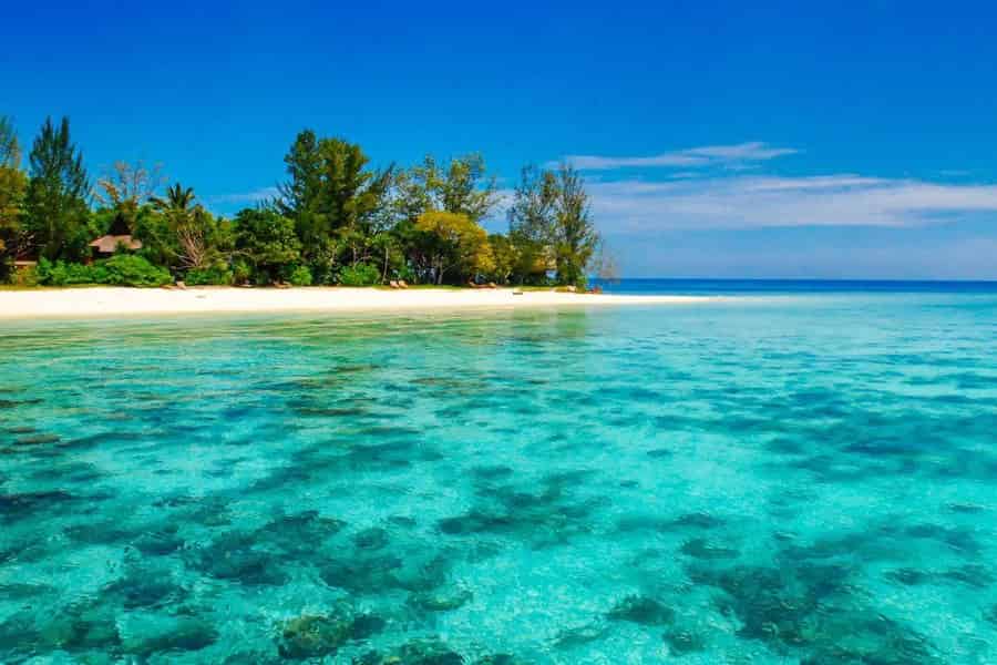 Sandakan : 2 Tage 1 Nacht auf Turtle Island. Foto: GetYourGuide