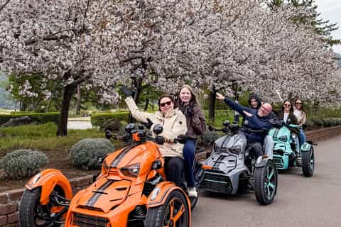The best Mount Fuji Spring activities 2026 - Free cancellation