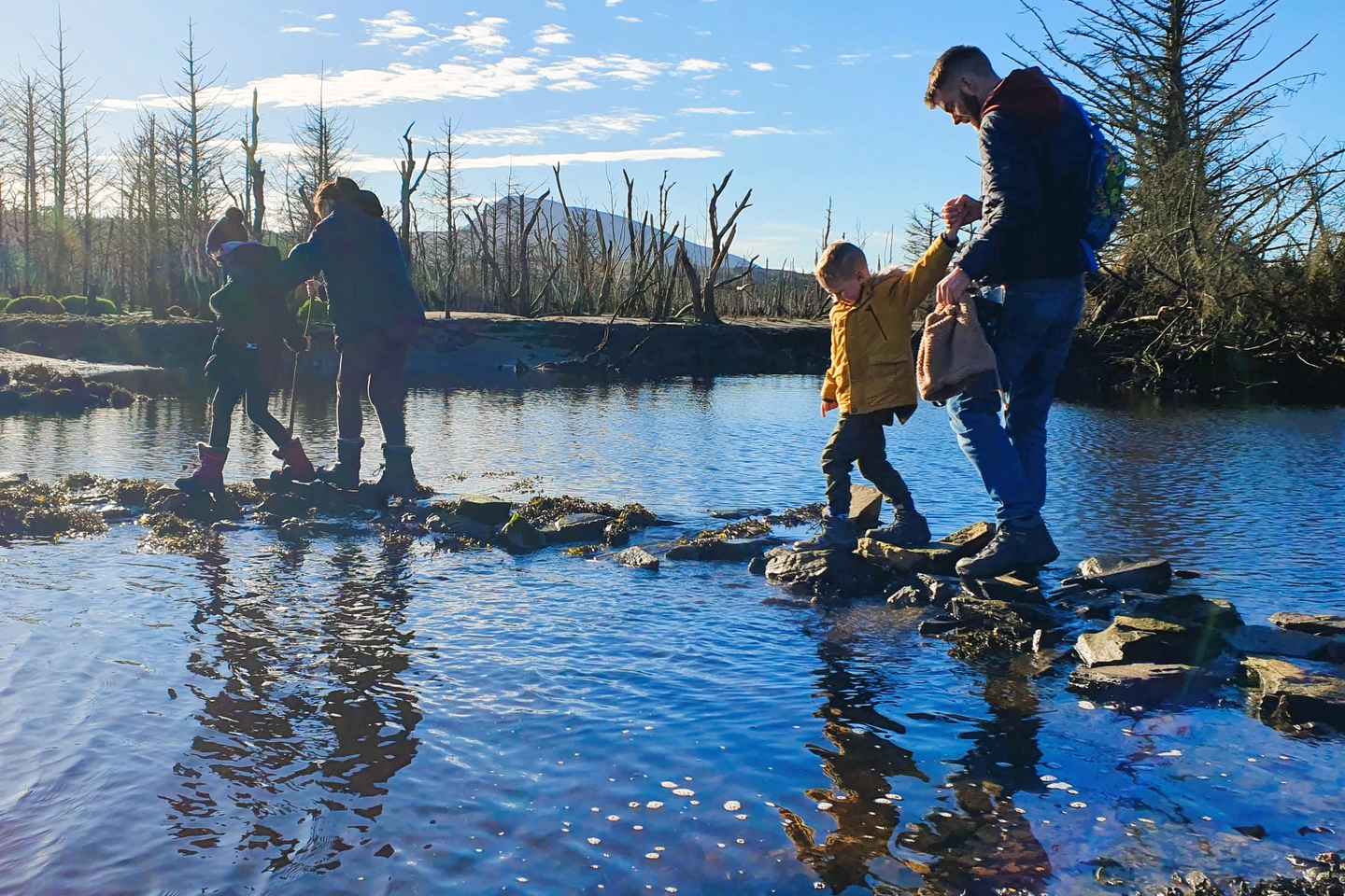 Northwest Donegal: Private Active Eco Tour