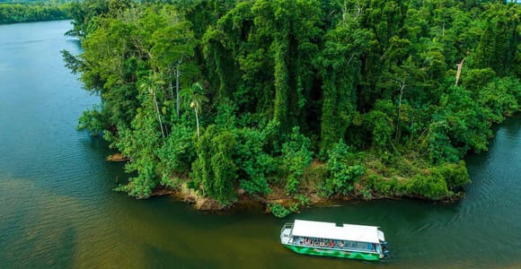 Cairns: Wildlife Habitat, Mossman Gorge, and Daintree Tour