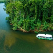 Cairns: Wildlife Habitat, Mossman Gorge, and Daintree Tour