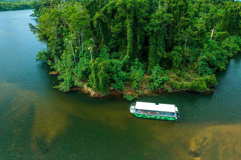 From Cairns: Daintree, Mossman Gorge and Wildlife HabitatDaintree, Mossman Gorge and Wildlife Habitat