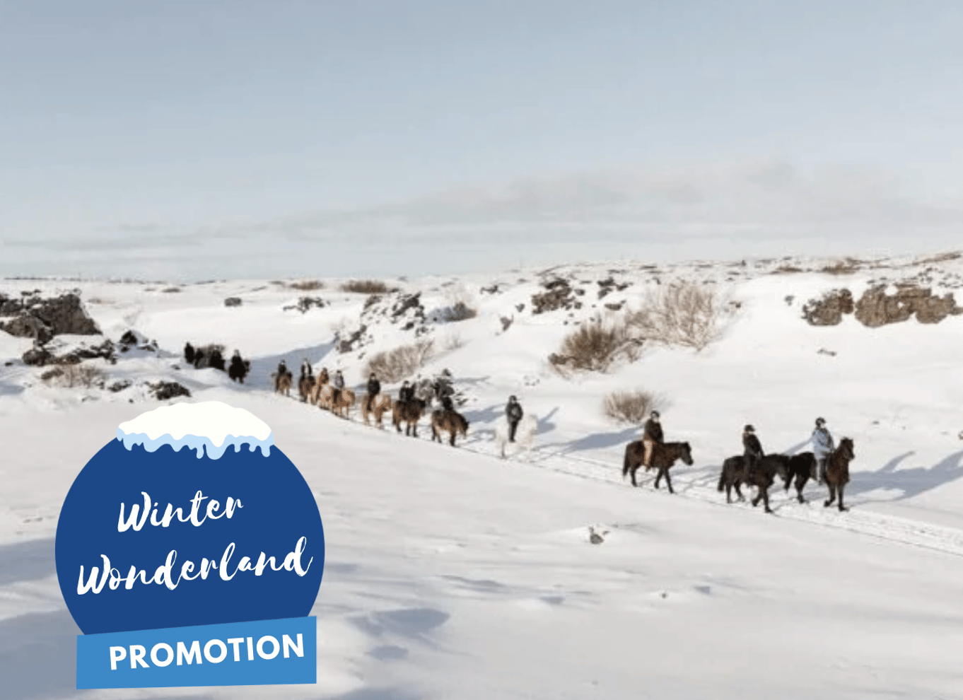 Ridetur på islandsk hest og afhentning fra Reykjavik