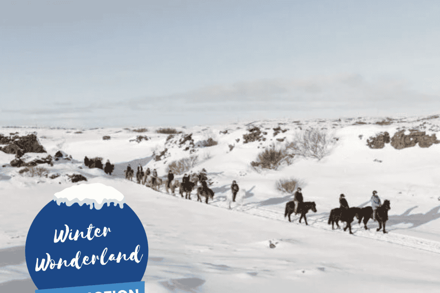 Islandpferd-Reittour & Abholung ab Reykjavík. Foto: GetYourGuide