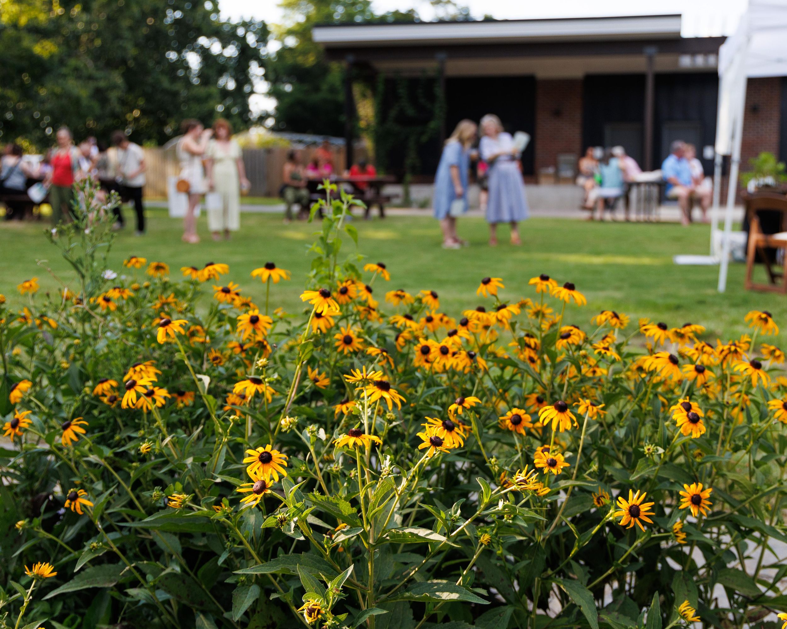 Memphis Botanic Garden Ticket