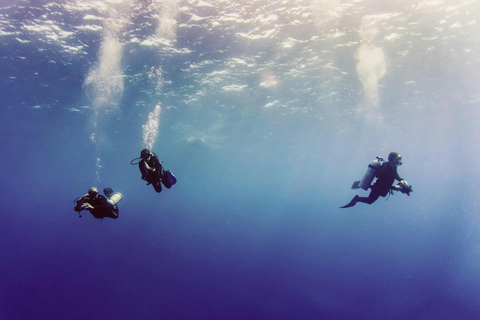 Diving Budva: 2-Tank Scuba Diving Tour for Certified Divers