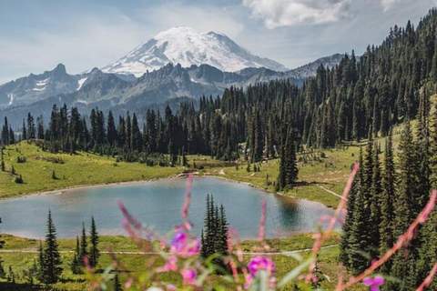 Visite privée du Mont Rainier au départ de Portland