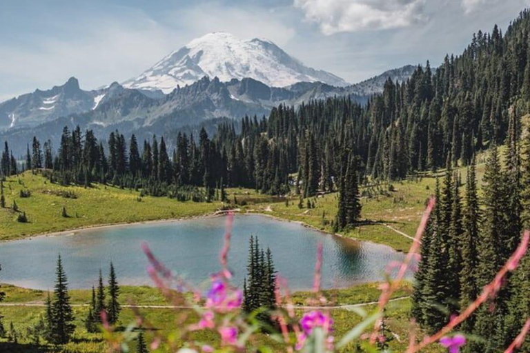 Visite privée du Mont Rainier au départ de Portland