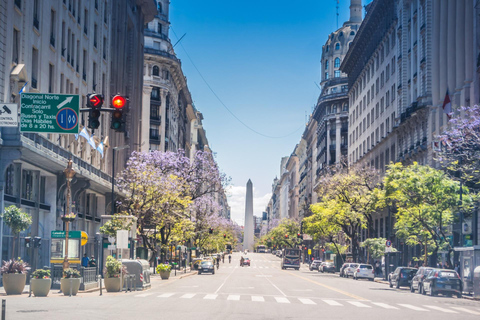 Buenos Aires Metropolitan Cathedral Private Tour with Entry 3-hour: Buenos Aires Metropolitan Cathedral & Transport
