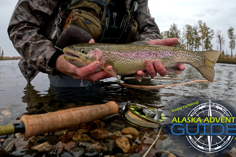 Anchorage: Full-day guided fly-fishing with Hotel Pickup