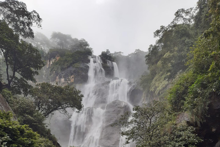 Kilimanjaro: 3-Day Serengeti and Ngorongoro Safari Tour