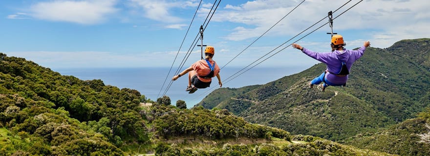 Kaikōura : Zipline et aventure dans la forêt indigène