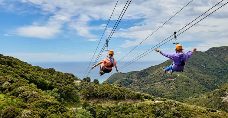 Kaikōura: Zipline and Native Forest Adventure Trip