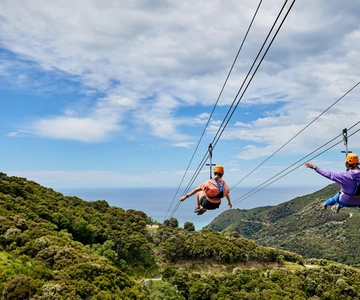 Kaikōura: Zipline en avontuurlijke tocht door inheemse bossen