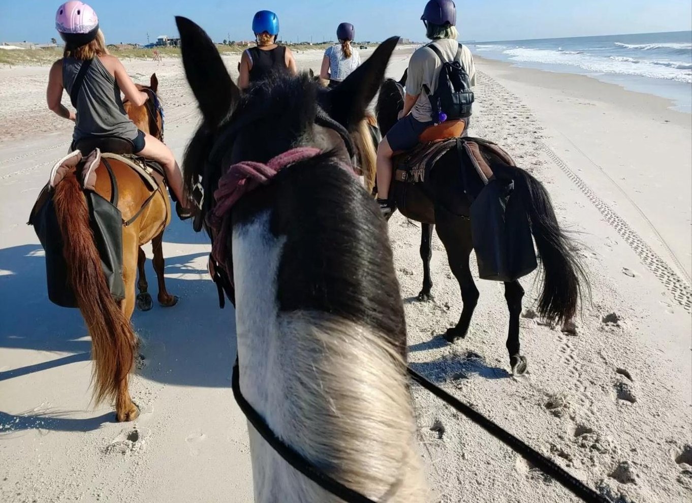 Amelia Island: Eventyr på hesteryg på stranden