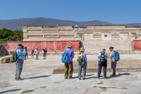 Desde Oaxaca: Mitla Mística Viaje al Corazón Zapoteco