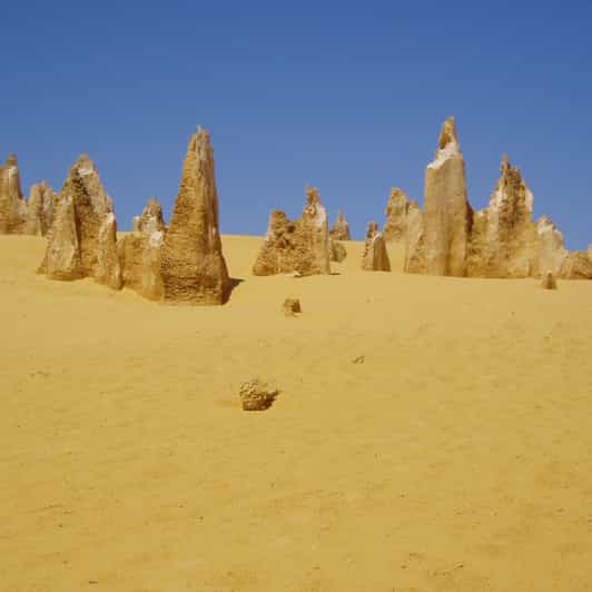 From Perth: Pinnacles, Sandboarding and Lobster Private Tour