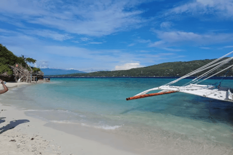 Oslob: Whale Sharks, Tumalog Falls & Sumilon Trio Adventure