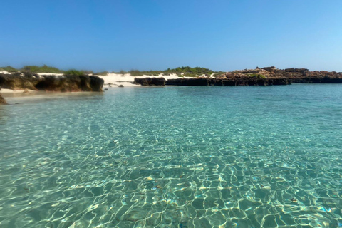 Mascate: Excursión de snorkel por las Islas Daymaniyat con refrescosMascate: Experiencia de bienestar Daymaniyat (puesta de sol)