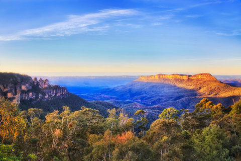 Blue Mountains Tour with Scenic World, Zoo&Bilingual Driver Blue Mountains Tour with Scenic World, Zoo&Bilingual Driver