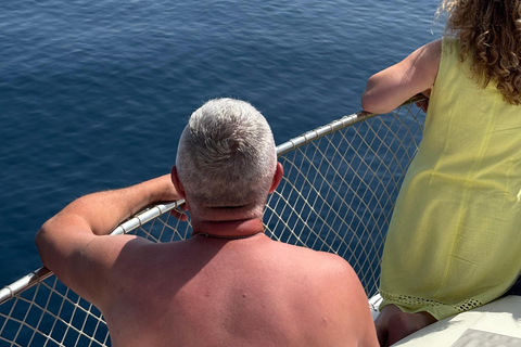 Estepona: Dolphins Searching Sea Cruise with Drink & Snacks Group Cruise