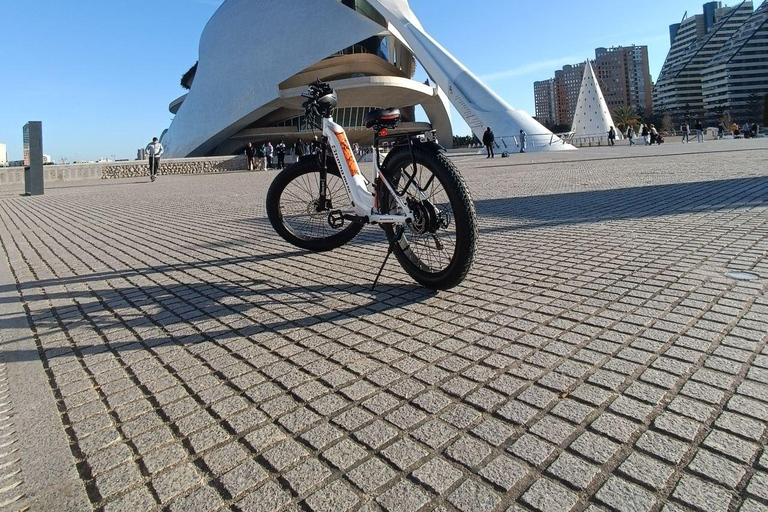 Valencia: Självguidad tur med elcykel till Albufera-sjön