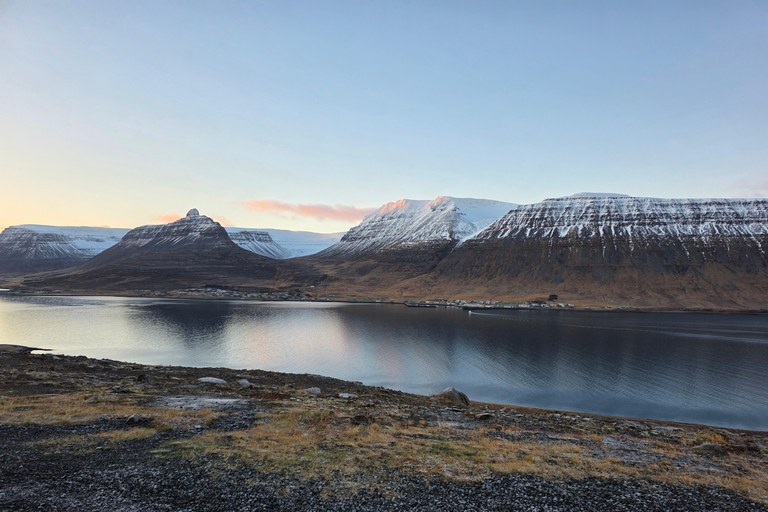Ísafjörður: Seal Colony, Avalanche Town & Fjord Views Tour