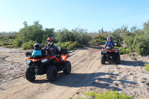 La Paz: ATV Route to Comitan and El Mogote Dunes La Paz: ATV Route to Comitán and El Mogote Dunes