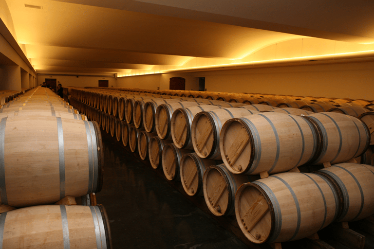 From Lisbon: Évora + Chapel of Bones + Monsaraz + Alentejo Wines Évora Tour + MONSARAZ + Wine Tasting