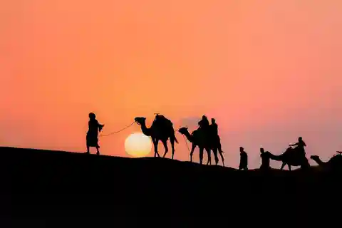 Deserto di Agafay: Giro in cammello al tramonto, cena e spettacolo marocchino