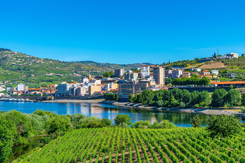 From Porto: Full-Day Douro Valley Trip and Port Wine Tasting