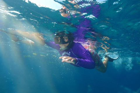 Cancun: Nurkowanie z rurką w Muzeum Podwodnym i na rafie Manchones