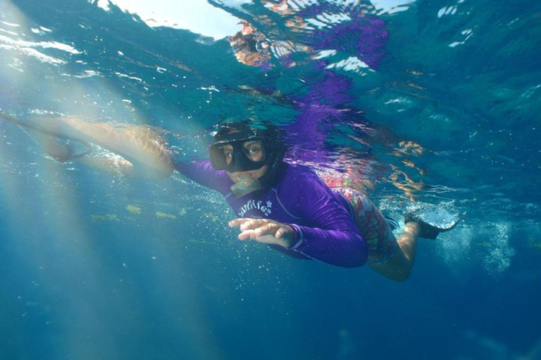 Cancun: Nurkowanie z rurką w Muzeum Podwodnym i na rafie Manchones