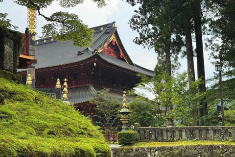 Tokyo: City Full-Day Private Scenic Tour With English Guide