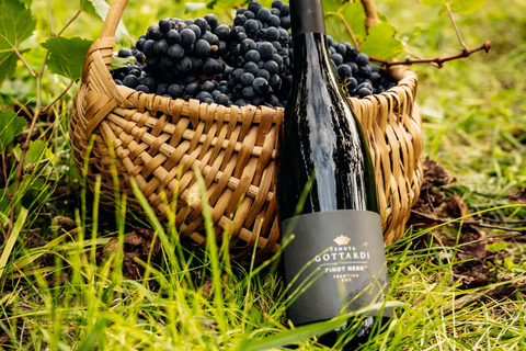 vineyard experience experience in the vineyard