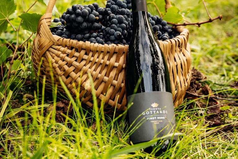 vineyard experience experience in the vineyard