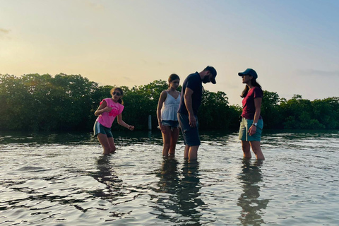 From Negombo: Boat Tour of Negombo Lagoon