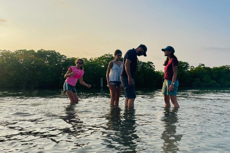 From Negombo: Boat Tour of Negombo Lagoon