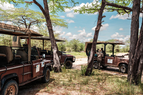 Depuis Zanzibar : Safari de nuit dans le Selous G.R. avec volssafari partagé