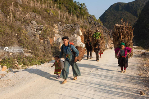 Depuis Hanoi : 3 jours de moto pour la boucle de Ha Giang avec Easy Rider