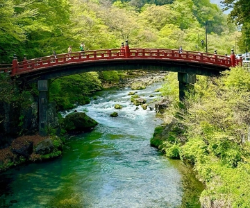 Da Tokyo: Tour privato di Nikko completamente personalizzabile